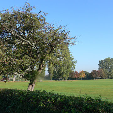 Sport Ground d'Exeter College