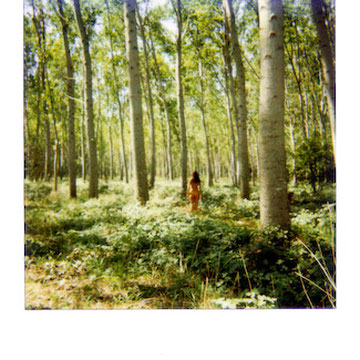 Dittico Polaroid Il pioppeto - fotografia concettuale Alessandro Tintori