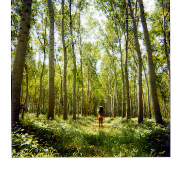 Dittico Polaroid Il pioppeto - fotografia concettuale Alessandro Tintori
