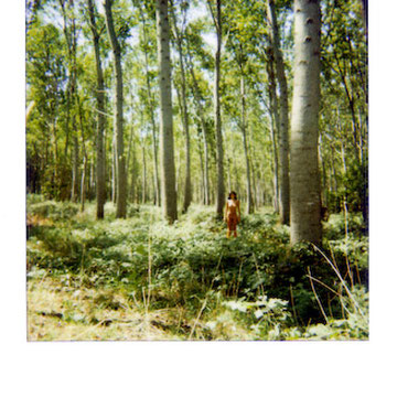 Dittico Polaroid Il pioppeto - fotografia concettuale Alessandro Tintori