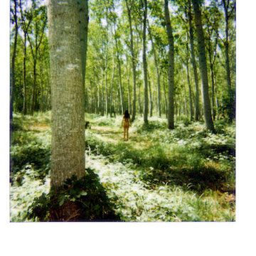 Dittico Polaroid Il pioppeto - fotografia concettuale Alessandro Tintori