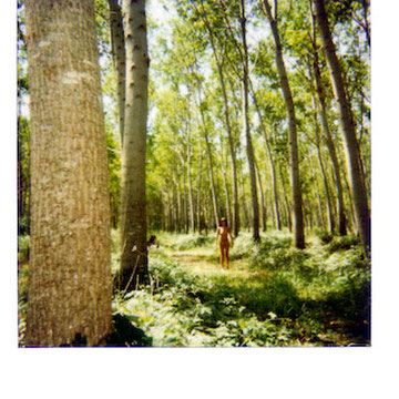 Dittico Polaroid Il pioppeto - fotografia concettuale Alessandro Tintori