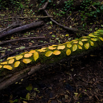 Land Art Kunstwerk