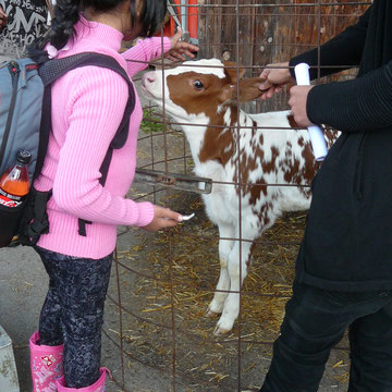...und Tierwelt kennen. 