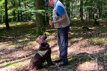 Hundeschule DreamTeam Sanitätshundetraining KV Seetal