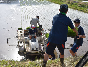 いちのせきニューツーリズム協議会　民泊　田植え　学生　体験　農村　一関