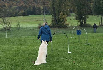 Heike in blauer Jacke steht auf einer Wiese vor ihrem sitzenden weißen Hund Gino, neben ihnen stehen einige Hoopers-Tore, im Hintergrund Hügel und Bäume bei bewölktem Himmel.