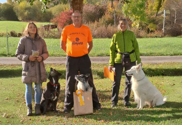 Drei Personen stehen auf einer Wiese, jede mit einem Hund. Die Hunde sitzen oder stehen, einer trägt eine gelbfarbene Schleife und sitzt vor einer Papiertüte.