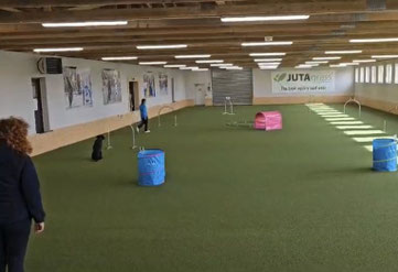 Halle mit Kunstrasen, mehreren blauen und roten Hindernissen und Hoopers-Tore, Lisa und ihr schwarzer Hund Jacke beim Hooperslauf.