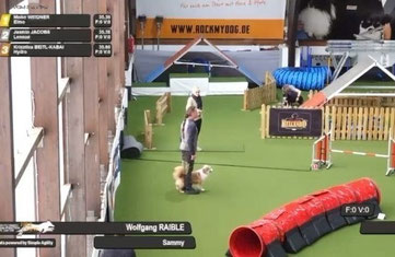 Hundesportplatz mit Agility-Hindernissen und zwei Personen mit Hunden auf grünem Kunstrasen