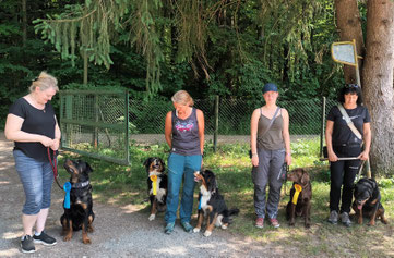 Vier Frauen stehen mit jeweils einem Hund an der Leine auf einem Weg vor einem Zaun und Bäumen