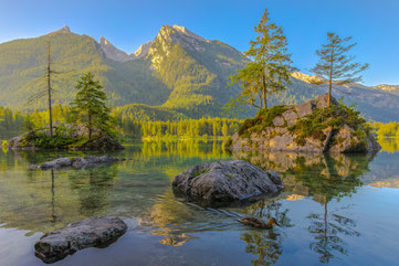 Hintersee#Zauberwald#Berchdesgadener Land #Roland Valter#rolva#Natur-Fotografie#Aachen 