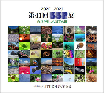 2020-2021 第41回SSP展図録