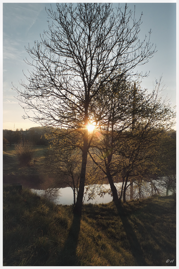 Morgendliche Frühlingsmomente