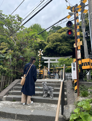 御霊神社ロケ地