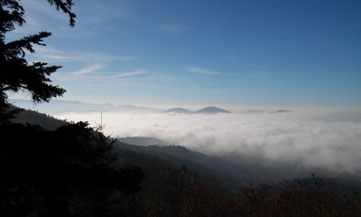 Auf dem Bernsteinfels über den Wolken