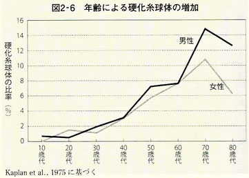 年齢による硬化糸球体の増加