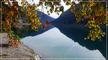 Der Plansee