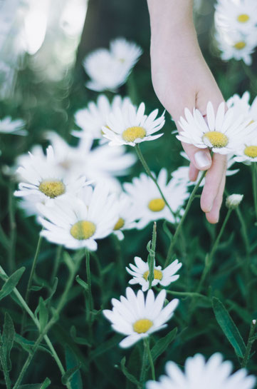 mai-rodriguez on unsplash