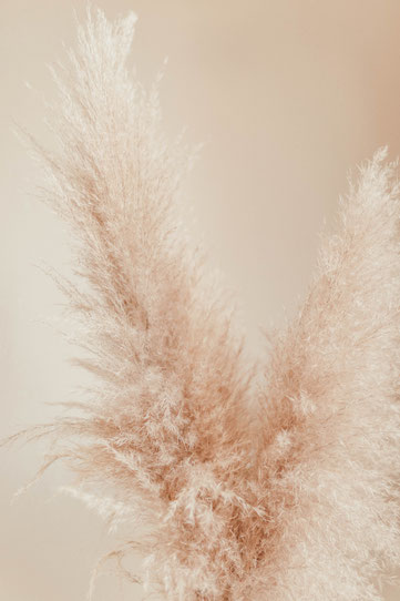 Pampas-Gras fürs Boho-Kinderzimmer