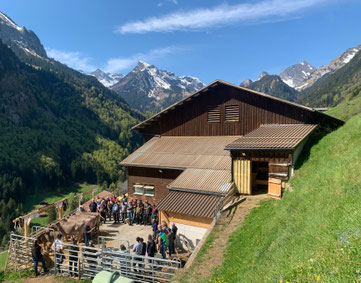 Ein einmaliges Erlebnis: So viele Besucher auf unserem Heimbetrieb, mitten in der Urner Bergwelt.