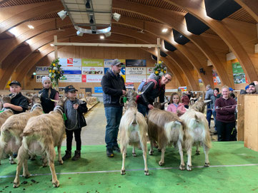 Herger's Ziegenzucht ist Familiensache, auch die Kleinsten sind voll mit dabei. Bild vom Betriebscup der Toggenburger Ziegen.