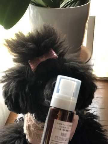 犬連れ ワークショップ ヒノキスプレー