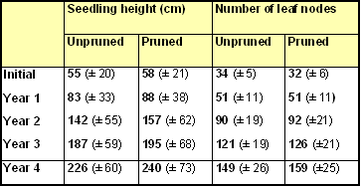 effect of pruning lateral shoots on seedling heights and leaf nodes on main stem