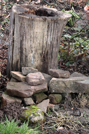 Eine Ecke mit Totholz und Natursteinen (G. Franke, 05.02.2022)