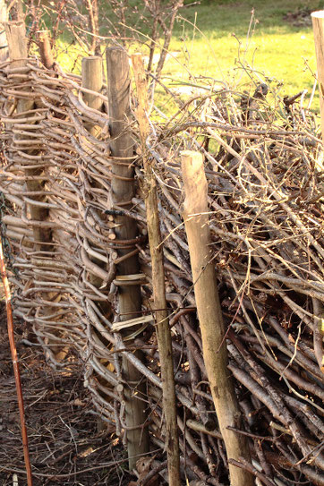 ein Stück Gartenzaun, hergestellt aus Holzpflöcken und Haselruten (G. Franke, 05.02.2022)