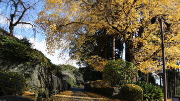 大石寺の入り口あたり