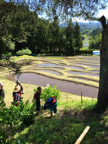 上からの眺めは絶景です.