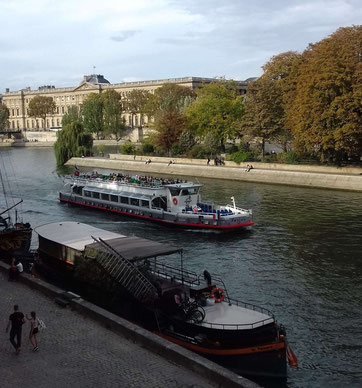 il y a foule de bateaux sur la Seine