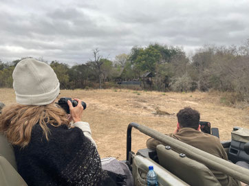 sabi-sands-safari