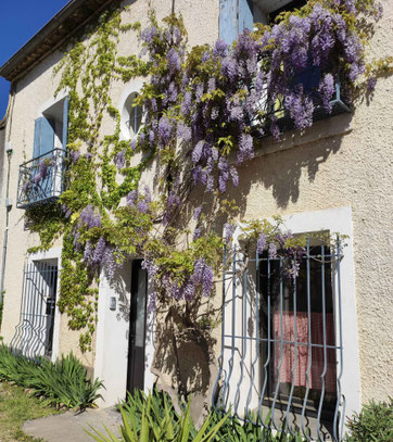 maison, village, plante, 19ème siècle