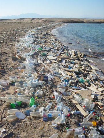 Strand am Roten Meer in Ägypten