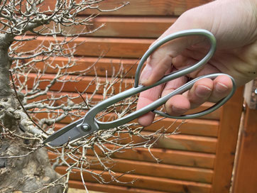 bambus laternen Bambus Laterne, natur – timbershome
