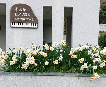 kayono-music ページ！