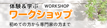 体験＆学ぶハコミセラピーワークショップ初めての方から専門家の方まで