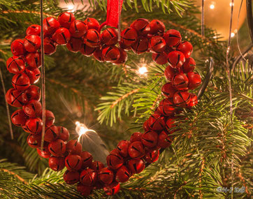 Schöne Weihnachten - unterm Tannenbaum!