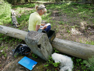 Beim Loggen des Multi-Geocache auf dem Geiskopf