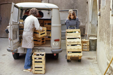 Beladen des Transporters. Alle packen mit an. (1975)