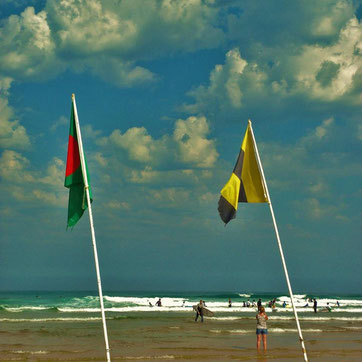 drapeaux qui encadrent la baignade comme le cadre d'une formation  