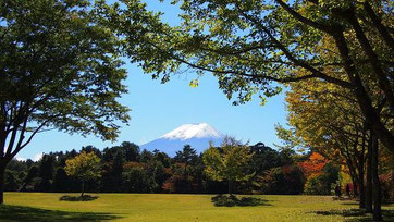 河口湖　富士山