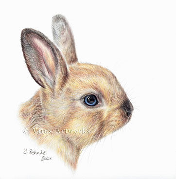 Kaninchen Buntstift Wandbild