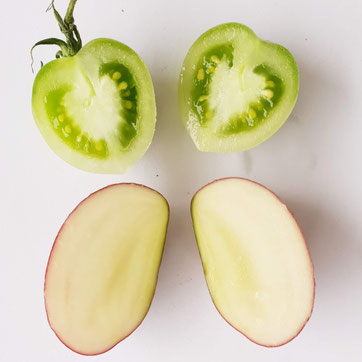 Grüne Tomaten sind nicht giftig, sehr wohl aber grüne Kartoffeln