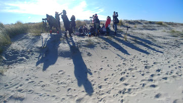 Guide Baie de Somme observation phoques traversée de la Baie activité aventure animaux à faire à voir à visiter à pied