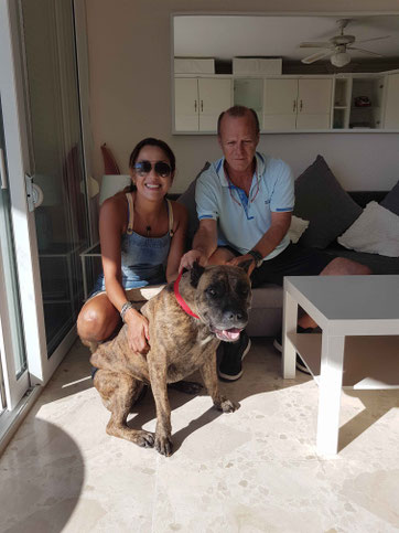 Xéna, une splendide Dogue des Canaries, impressionnante mais très câline ! Avec Christian et Siha du Maroc. Sept 2018