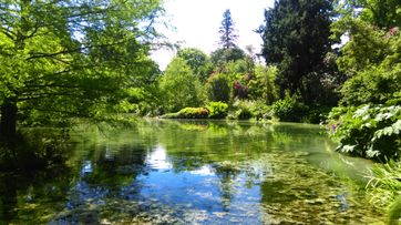 the botanic gardens in christchurch a pond in there with trees very green new zealand