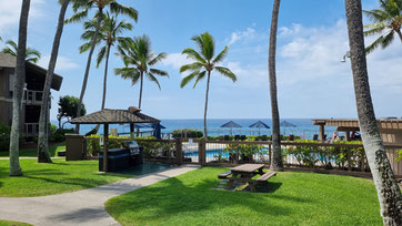 tropischer Garten auf der Busrundreise Hawaii